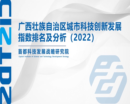 入逼网站【成果发布】广西壮族自治区城市科技创新发展指数排名及分析（2022）